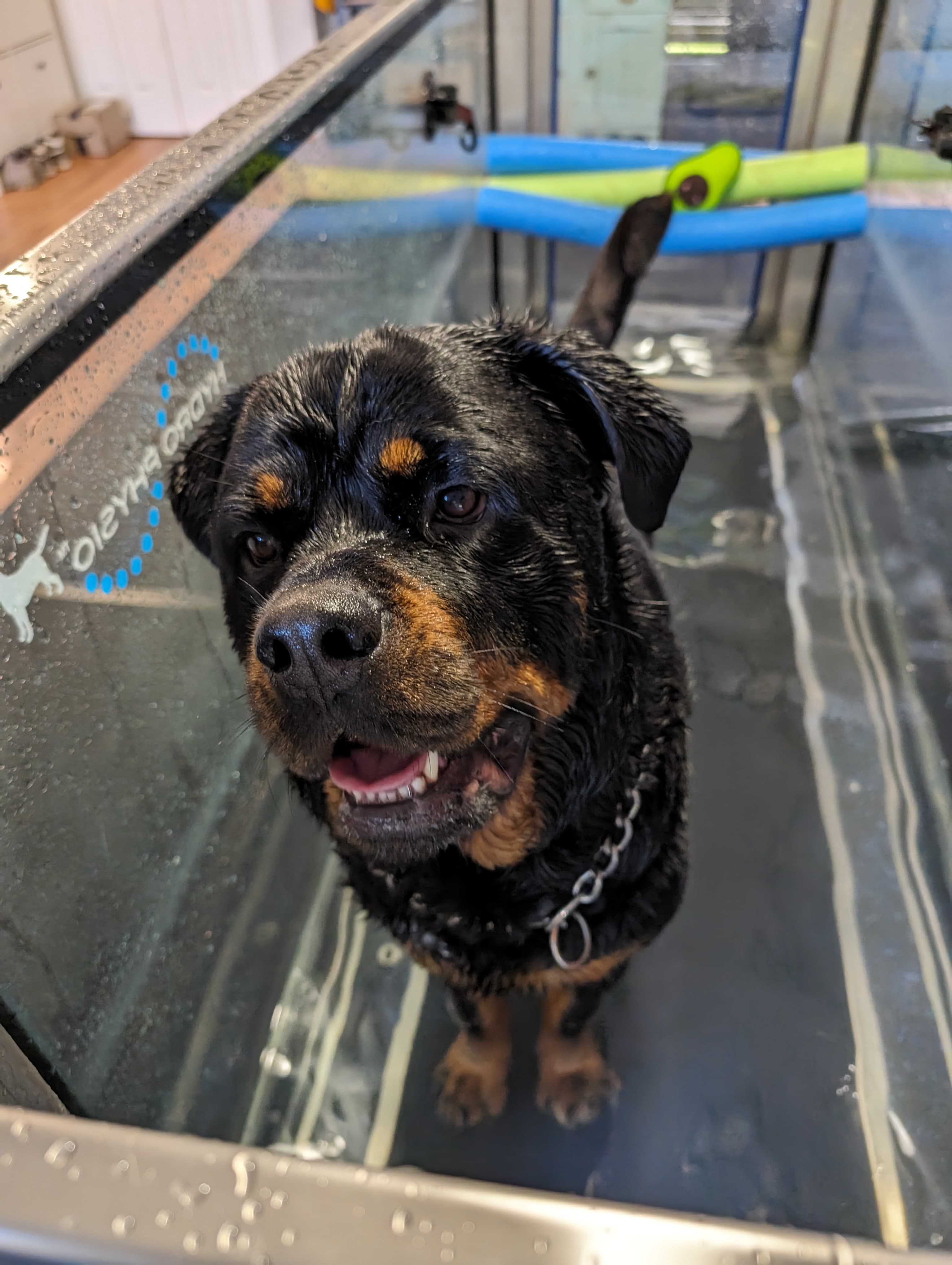 Thon during hydrotherapy